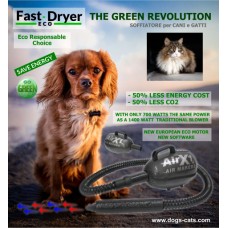 Fast Dryer Eco